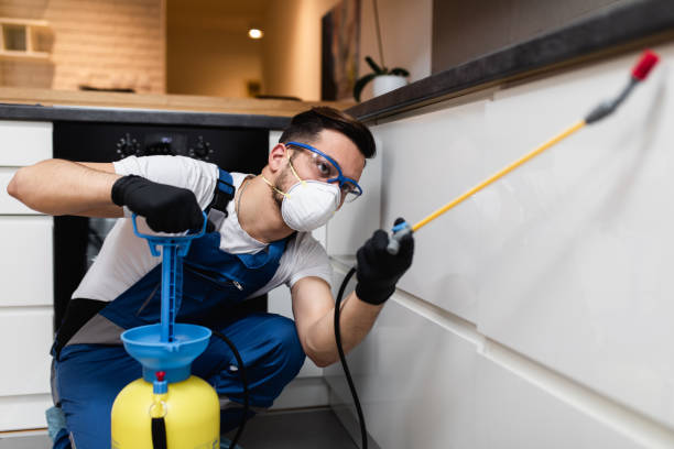 Best Mosquito Control Services  in Mayville, MI