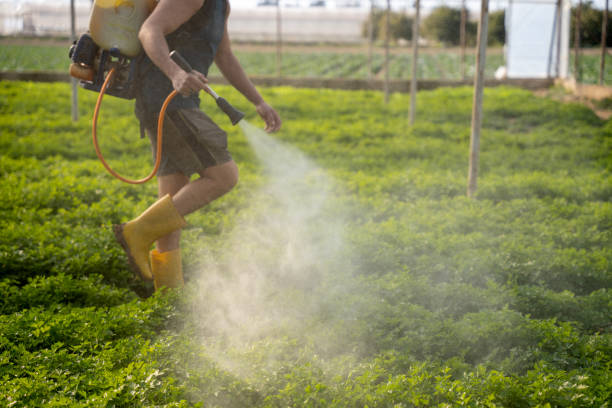 Professional Pest Control in Mayville, MI