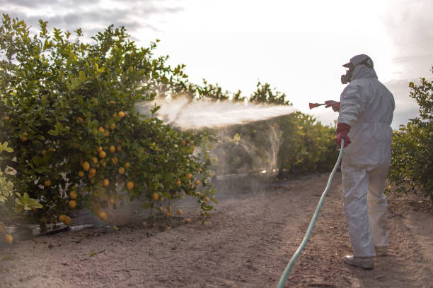 Best Bed Bug Extermination  in Mayville, MI