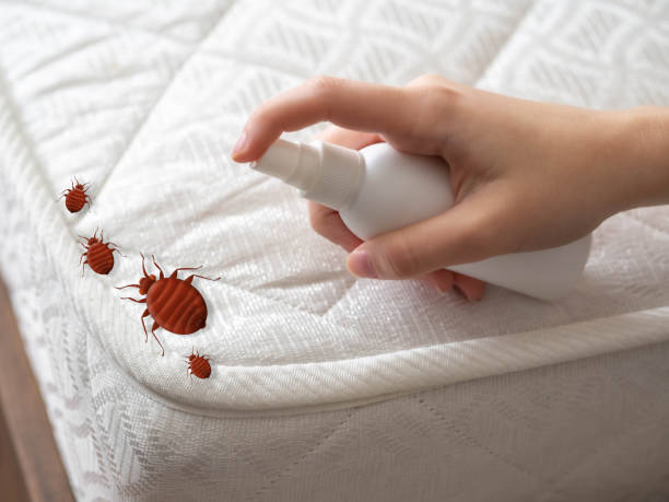 Best Pest Inspection Near Me  in Mayville, MI