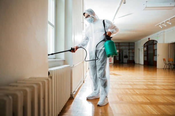 Best Pest Inspection Near Me  in Mayville, MI