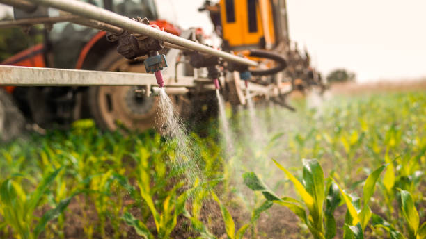 Best Pest Prevention Services  in Mayville, MI